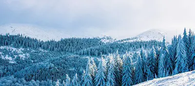 Winter Landscape
